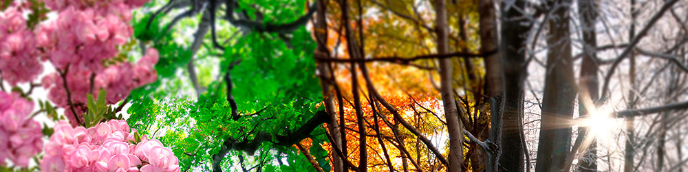 2020-Märchen-2000x500px