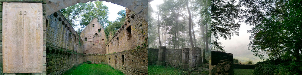 2020_Disibodenberg-Header-1000x250