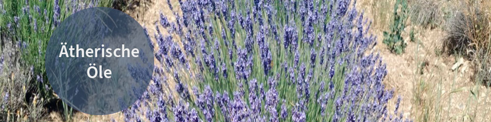 2023-header-aetherische-oele