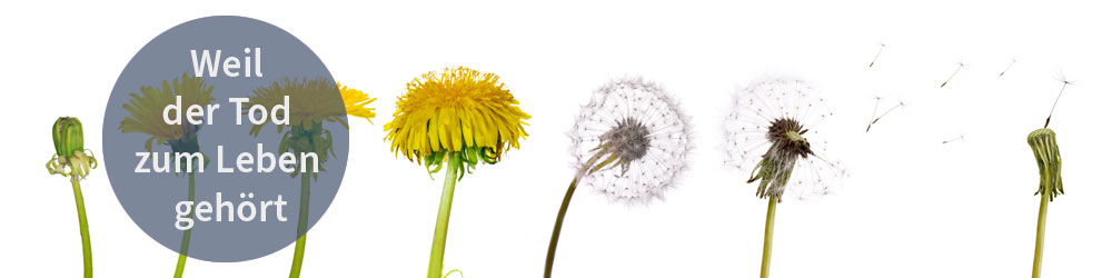 2026-Zentrum-Header-Weil-der-Tos-zum-Leben-gehoert