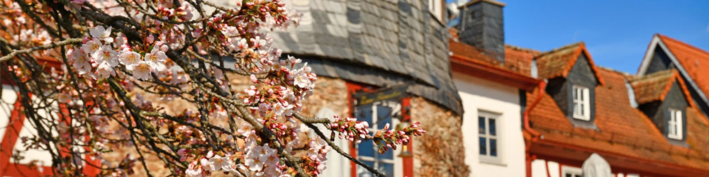 2026-Zentrum-Header-Hofheim